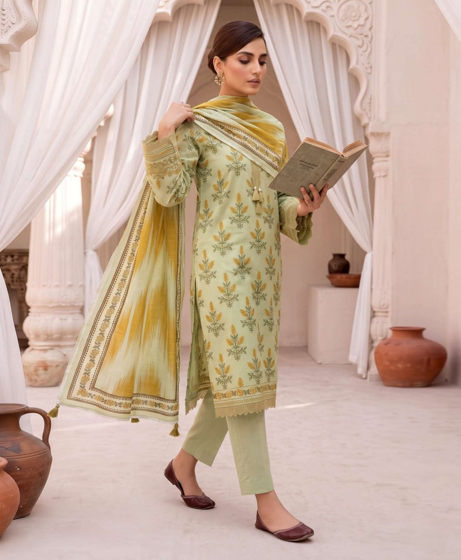 Rukh-e-Zeba Digital Khaddar Bold Print DZN-007